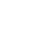 top-speed-icon